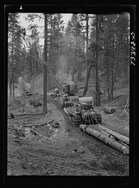 Grant County, Oregon. Malheur National Forest. Caterpillar tractors snaking logs to the place where they are loaded onto trucks by Russell Lee