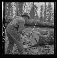 Grant County, Oregon. Malheur National Forest. Lumberjack putting hook into log which will be loaded onto flatcar by Russell Lee