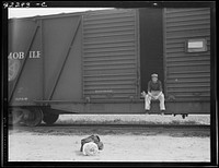 [Untitled photo, possibly related to: Car on siding across tracks from pea packing plant. Twenty-five year old itinerant, originally from Oregon. "On the road eight years, all over the country, every state in the union, back and forth, pick up a job here and there, travelling all the time." Calipatria, Imperial Valley] by Dorothea Lange
