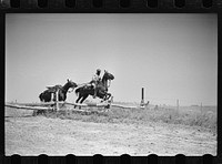 Fort Riley, Kansas. Soldiers of a cavalry machine gun platoon going over an obstacle during a field problem. Sourced from the Library of Congress.
