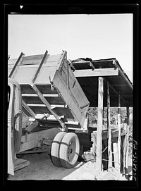 Kern County, California. Tungsten Chief Mill. Dumping tungsten ore into the hopper by Russell Lee