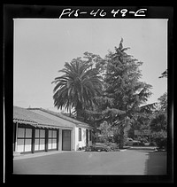 [Untitled photo, possibly related to: Tourist court. Santa Clara, California] by Russell Lee