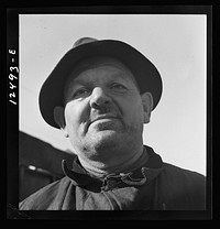 [Untitled photo, possibly related to: Chicago (north), Illinois. Mr. John E. Lindstrom, 4136 Northwestern Avenue, one of the volunteer scrap collectors of the Teamsters' union participating on the scrap collection drive on Armistice Day]. Sourced from the Library of Congress.