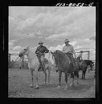 Big Hole Valley, Beaverhead County, Montana. Cattle buyers on ranch. Buyers come from the Middle West to select feeder cattle by Russell Lee