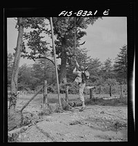 [Untitled photo, possibly related to: Fort Belvoir, Virginia. Sergeant George Camblair getting rigorous physical training on the obstacle course]. Sourced from the Library of Congress.