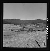 Park County, Montana. Cattle ranch by Russell Lee