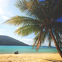 A Lone palm tree and boat on an empty tropical island, Malaysia