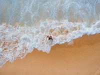 A man walking on the beach, free public domain CC0 photo.