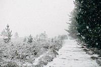 Free winter image, public domain white CC0 photo.