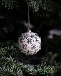Free white ball on Christmas tree image, public domain plant CC0 photo.