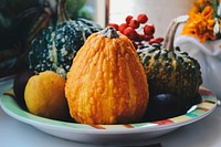 Free close up pumpkin squash of Halloween image, public domain vegetable CC0 photo.