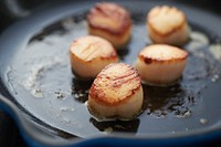 Free seared scallops image, public domain dessert CC0 photo.