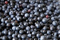 Free blueberries image, public domain fruit CC0 photo.