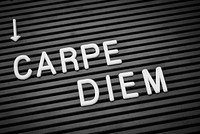 Free Carpe Diem image, public domain CC0 photo.