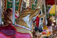 Free carousel horse image, public domain amusement park CC0 photo.