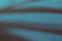 Blurred abstract background, free public domain CC0 photo.