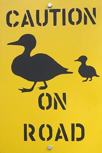 Free duck crossing road sign image, public domain CC0 photo.