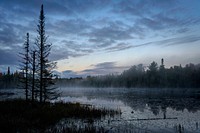 Lake Landscape Tree 