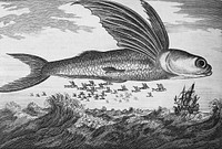 Vintage Illustration of a flying fish and the village of Lan-tang, near Ma-kau published in 1745-1747 by <a href="https://www.rawpixel.com/search/Thomas%20Astley?&amp;page=1">Thomas Astley</a>. Original from New York public library. Digitally enhanced by rawpixel.