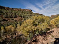 View of Salt River Canyon, which bisects the entire length of a 32,101-acre wilderness area within the Tonto National Forest in Arizona.