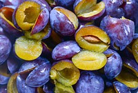 Free plum public domain fruit CC0 photo