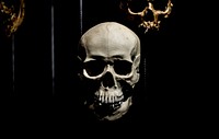 Free real human skull on black background photo, public domain CC0 image.