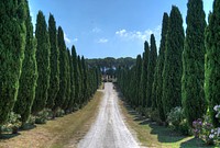 Tuscan driveway