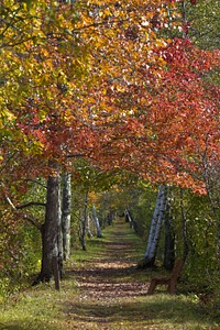 Autumn in upstate New York