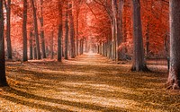 Free autumn image, public domain season CC0 photo.
