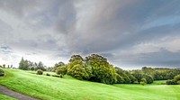 Free trees in a vast grass land image, public domain landscapel CC0 photo.