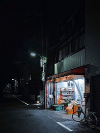 Local Shop at Night, Tokyo, Japan