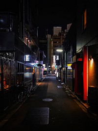 Urban Alley at Night, Tokyo, Japan