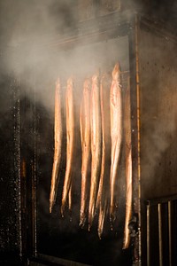 Free smoking eels image, public domain nature CC0 photo.