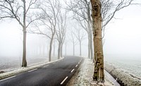 Free snow covered trees by road photo, public domain winter CC0 image.