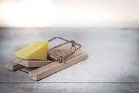 Free mousetrap with cheese image, public domain CC0 photo.