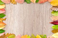 Free autumn leaves on wood table photo, public domain nature CC0 image.