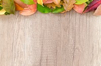 Free autumn leaves on wood table photo, public domain nature CC0 image.