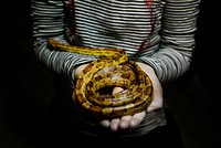 Free person holding a snake image, public domain people CC0 photo.