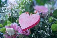 Free valentine's flower background image, public domain spring CC0 photo.