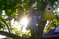 Sparrow, bird houses hanging on tree photo, free public domain CC0 image.