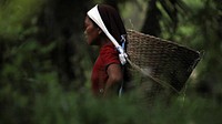 Harrworking woman carrying basket , unknown location - 20 February 2016