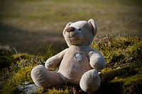 Free teddybear outdoors image, public domain kid's toy CC0 photo.