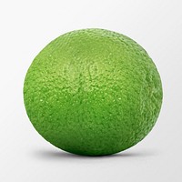 Green lime clipart, citrus fruit on white background psd