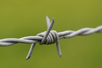 Free barbed wire image, public domain green background CC0 photo.