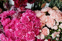 Pink and peach carnations in a flower shop