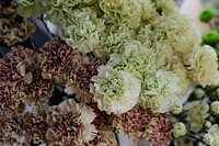 Bunches of green and brown carnations in a flower shop