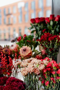 Bunches of red flowers in a flower shop