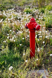 Red fire hydrant in a park