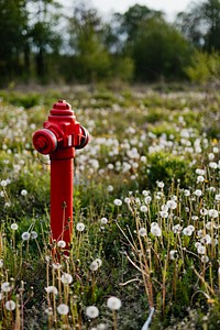 Red fire hydrant in a park