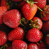 Freshly harvested organic strawberry background closeup